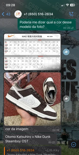 Nike SB Dunk Seller Placed Different Shoe 6