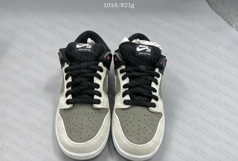Nike SB Dunk VX1000 Camcorder
