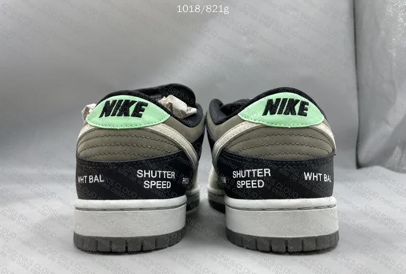 Nike SB Dunk VX1000 Camcorder 2