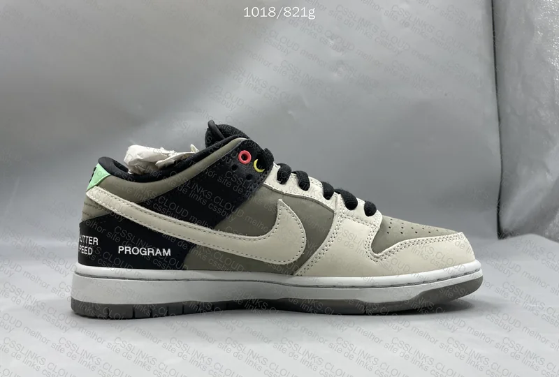 Nike SB Dunk VX1000 Camcorder 3