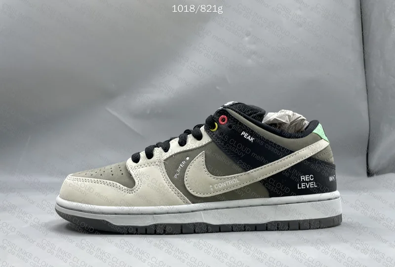 Nike SB Dunk VX1000 Camcorder 4