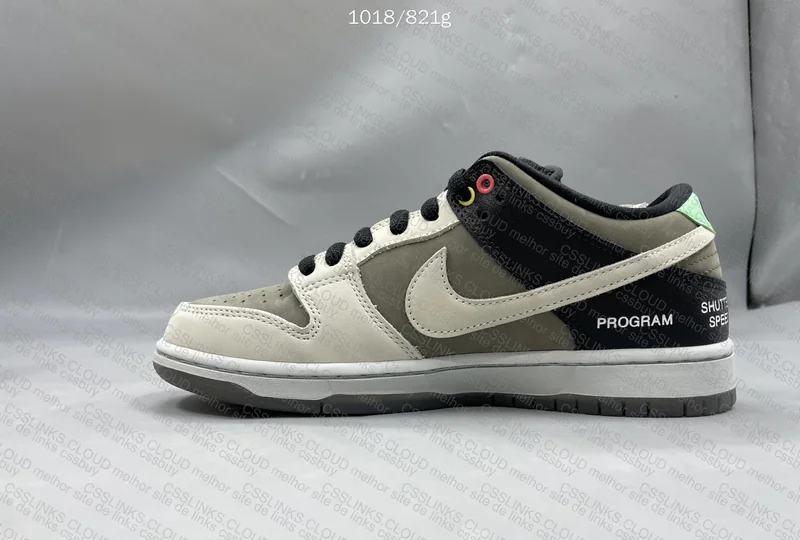Nike SB Dunk VX1000 Camcorder 5