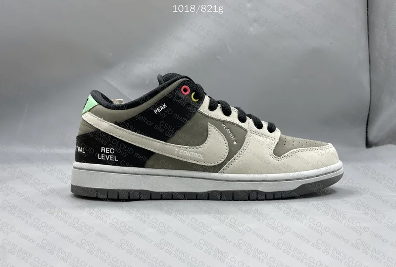Nike SB Dunk VX1000 Camcorder 6