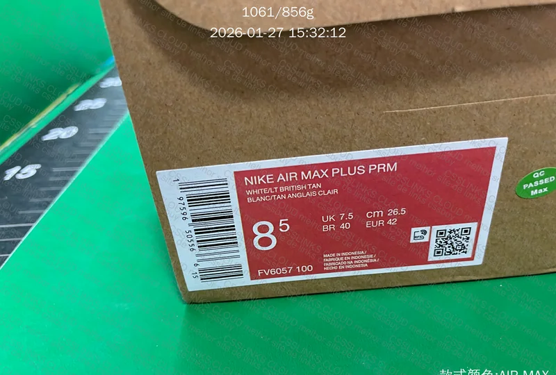 NIKE TN (AVALIEM, O TÊNIS TÁ BACANA?) 8