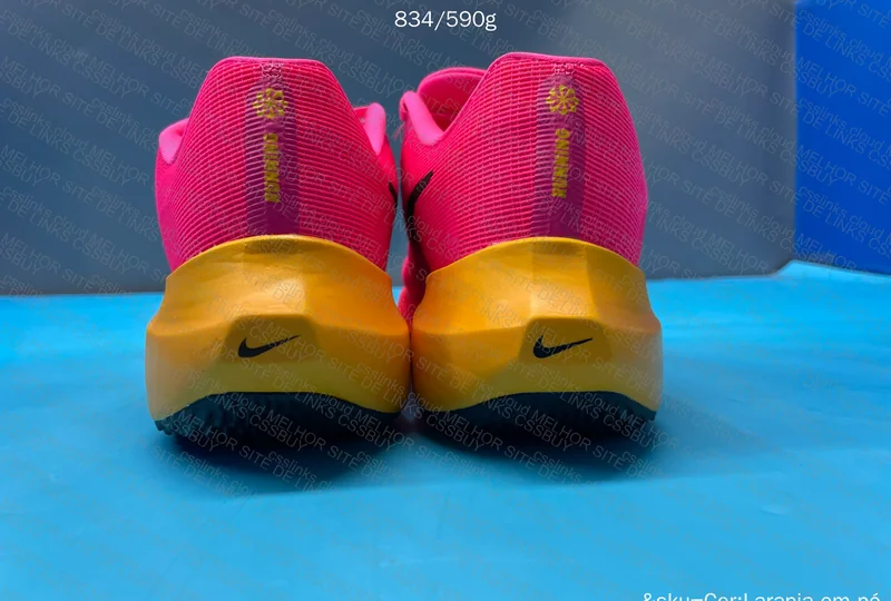 Nike Zoom Fly 5 Pegasus 2
