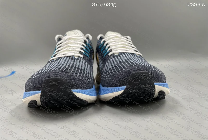 nike zoom pegasus 39 2