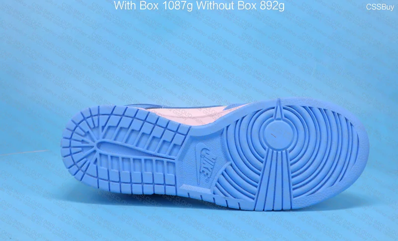 Nk Dunk Low 5