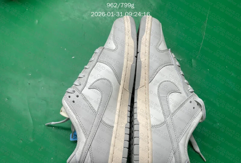 NK Dunk Low 2