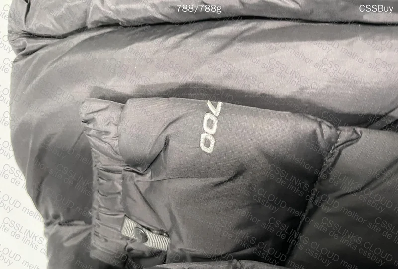 North Face Nuptse 700 2