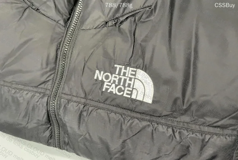 North Face Nuptse 700 3