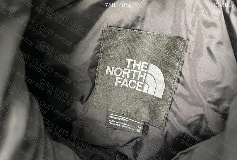 North Face Nuptse 700 4