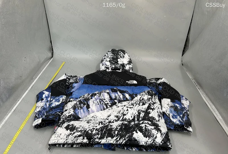 North face x Supreme Jacket 2