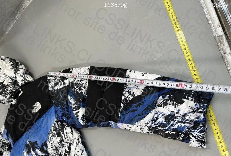 North face x Supreme Jacket 7
