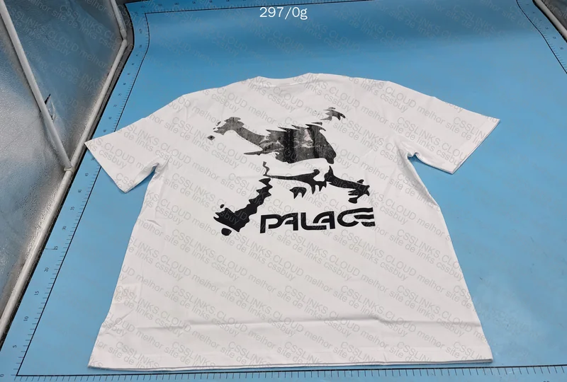 Oakley Palaçe 3