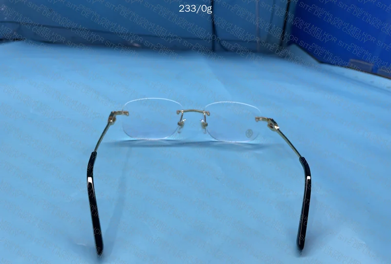 Cartier Glasses 4