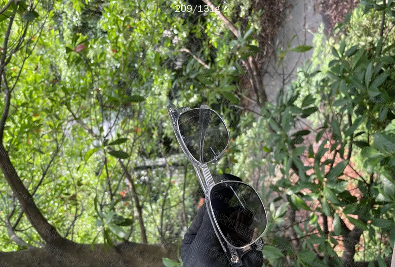 Chrome Hearts Sunglasses 2