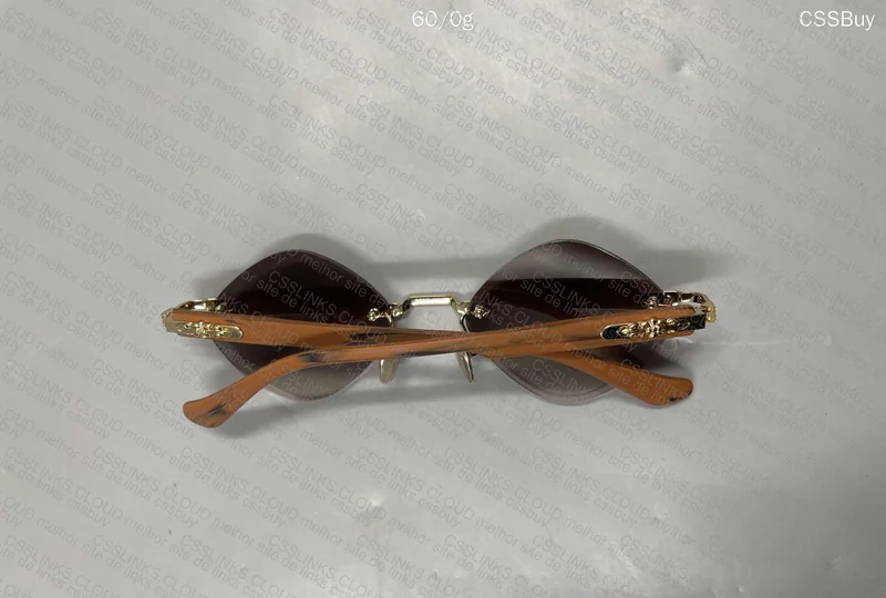 Sunglasses with Case 6