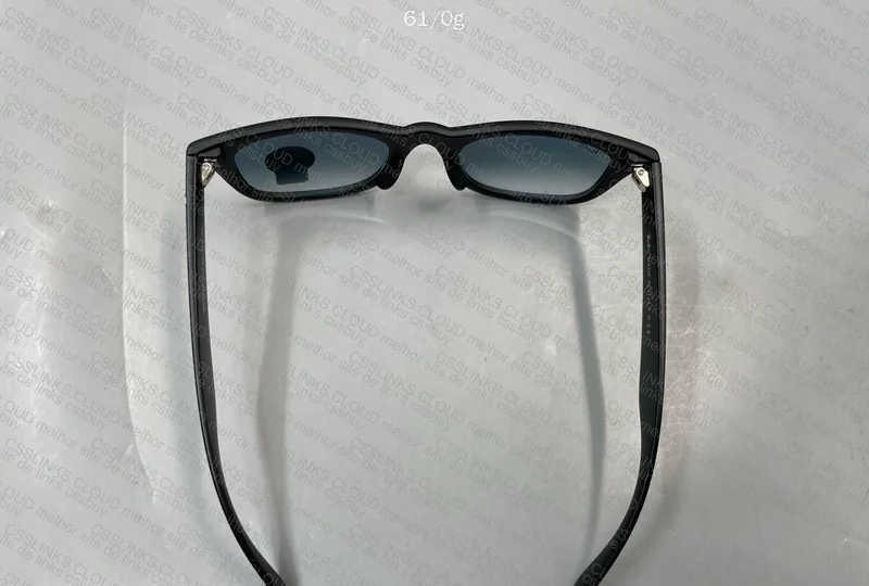 Ray Ban Wayfarer Sunglasses 3