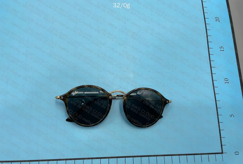 Ray-Ban Glasses 5