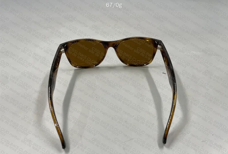 Ray Ban Sunglasses 5