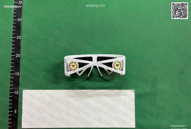 Versace Glasses 2