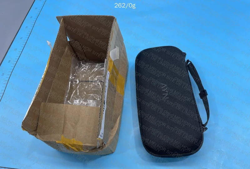 Odin2 Portal Carrying Case