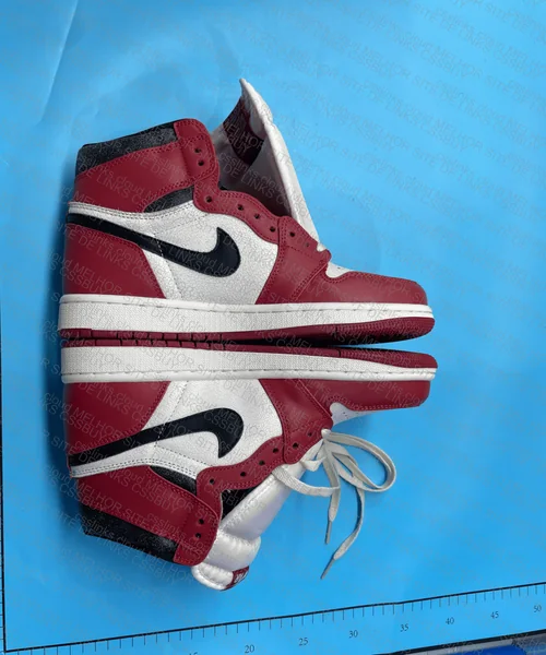 OG 1 Retro High Collection - Chicago Lost and Found