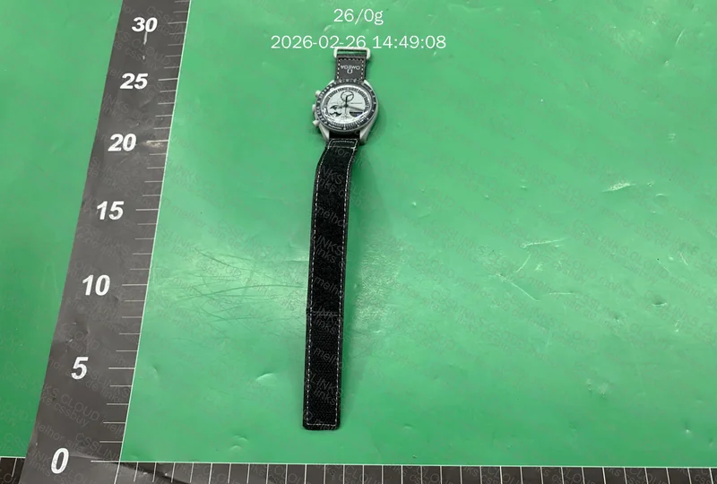 Omega Moonswatch