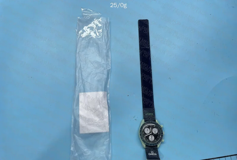 Omega Moonswatch Earth
