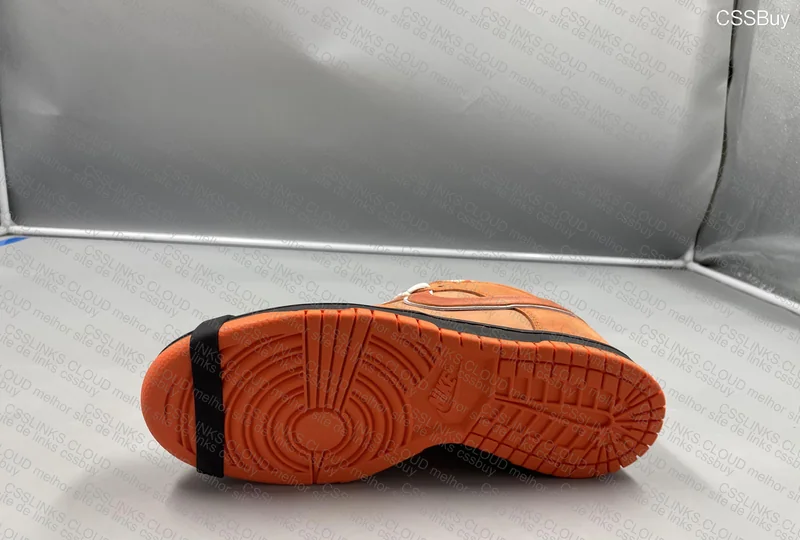 ORANGE LOBSTER 3