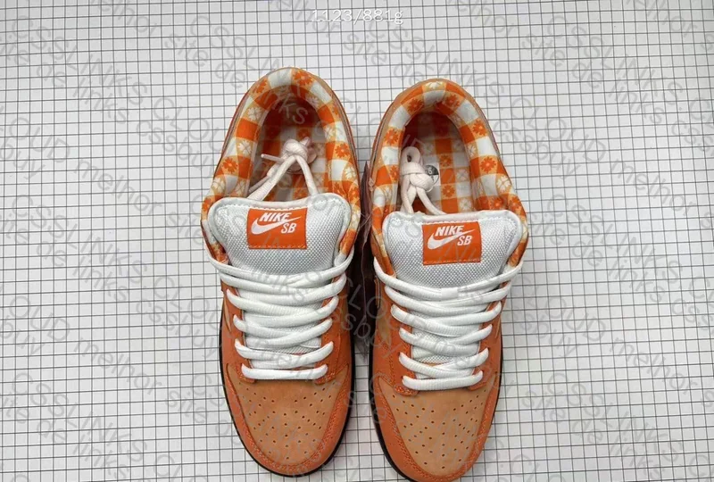Orange Lobster 5