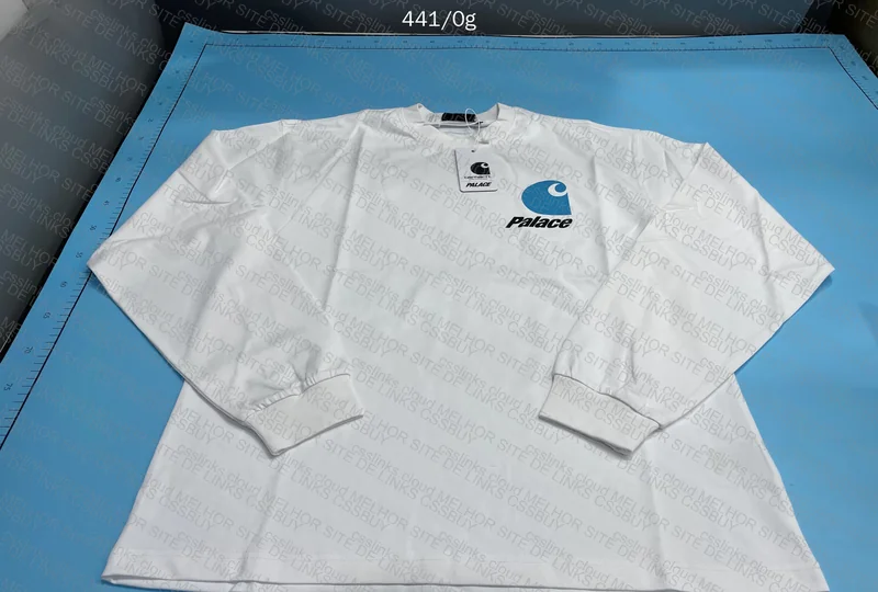 palace carhartt wip 2