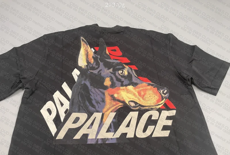 Palace p-3-k-9 5