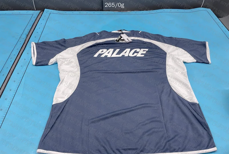 Palace Pro Team Stage Jersey 'Smoke' 5