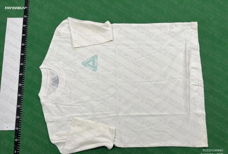 Palace T-shirt 2