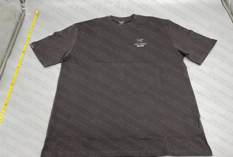 Palace x Arc'teryx
