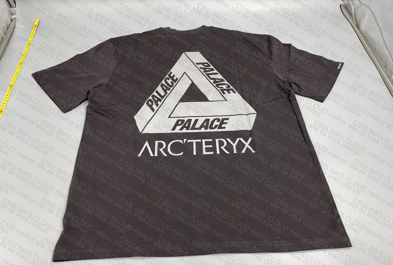 Palace x Arc'teryx 3