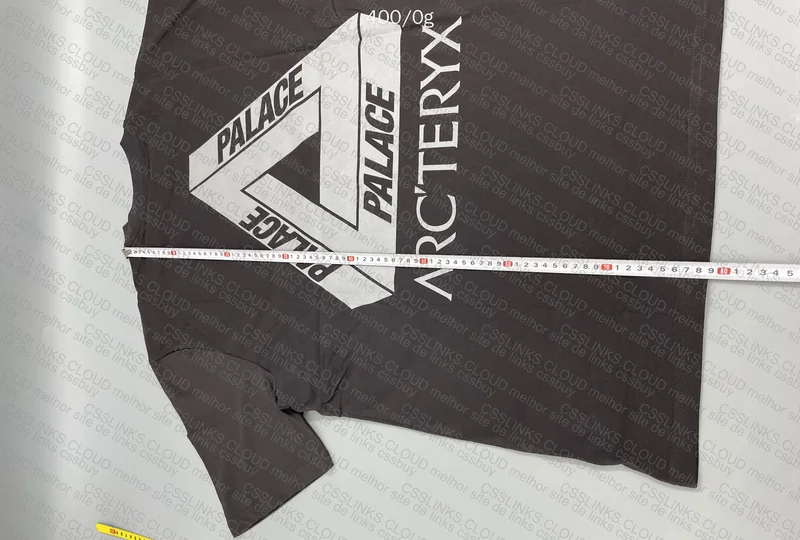 Palace x Arc'teryx 4