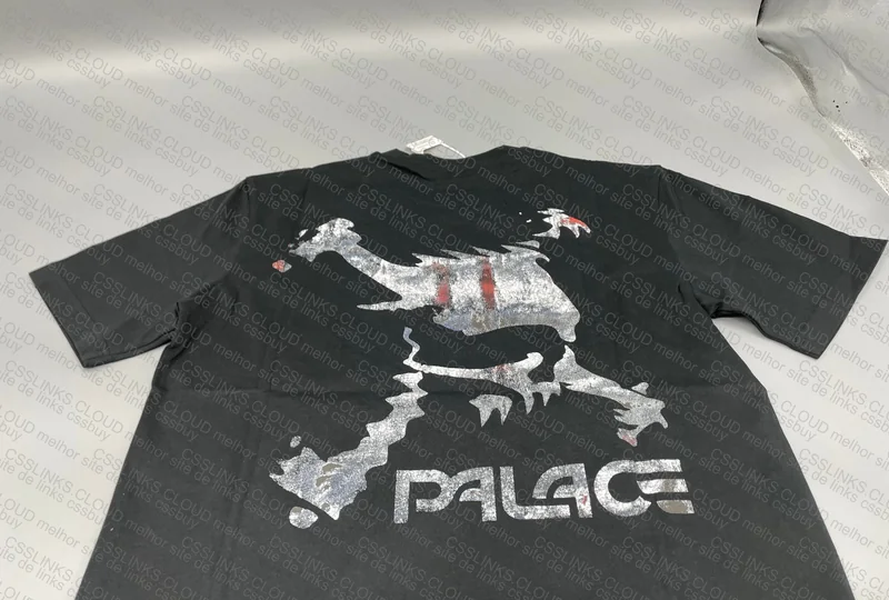 Palace x Oakley 6