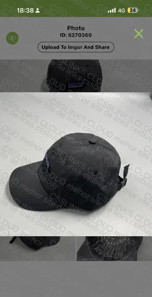 palaganio hat 2