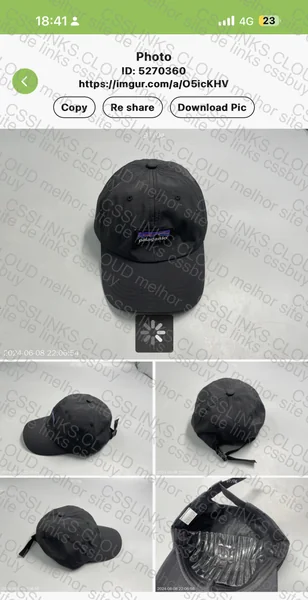 palaganio hat 4