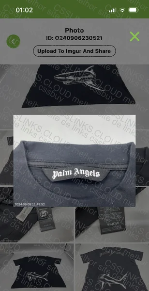 Palm Angels (repbrothers) with Measurement 3
