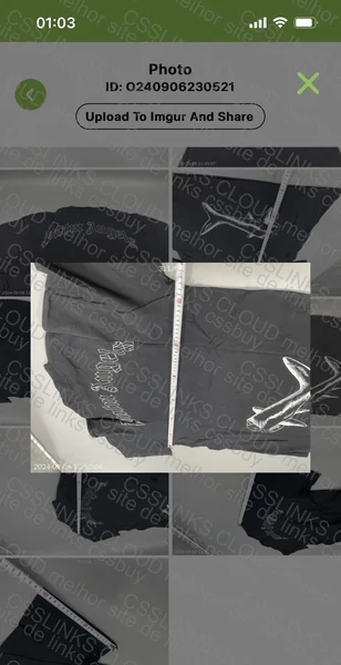 Palm Angels (repbrothers) with Measurement 7