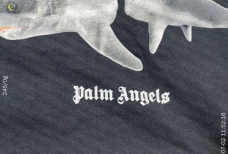 Palm Angels Shark T-shirt in black