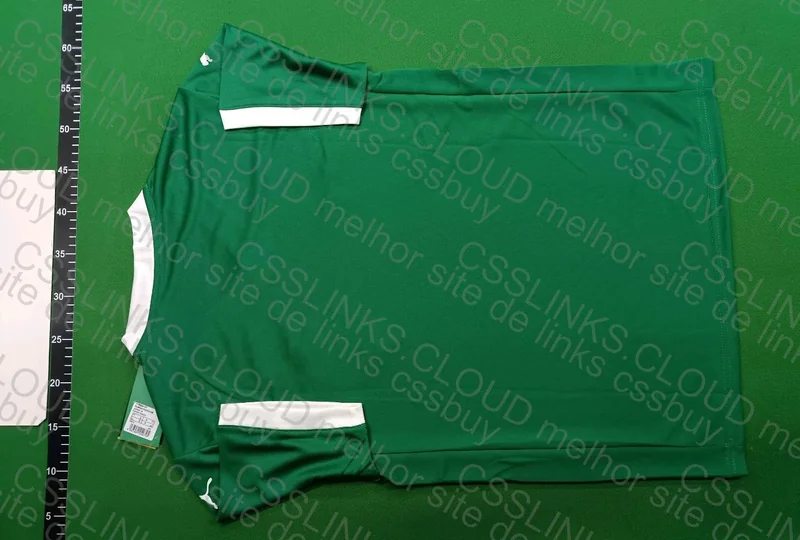 Palmeiras Jersey 2