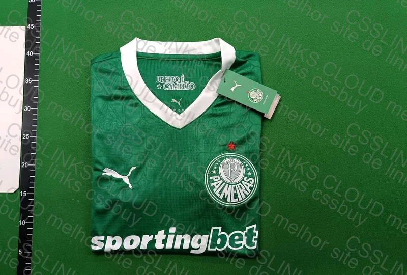 Palmeiras Jersey 3