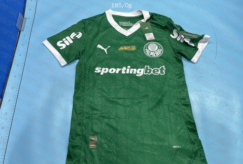 Palmeiras home player e torcedor