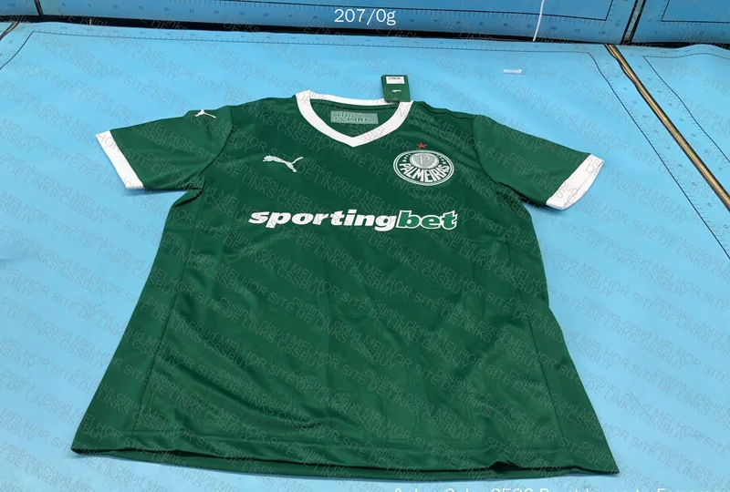 Palmeiras home player e torcedor 2