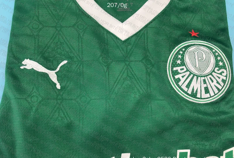 Palmeiras home player e torcedor 3