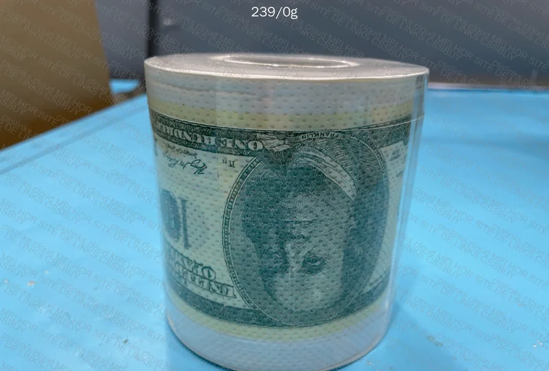 Dollar Toilet Paper 2
